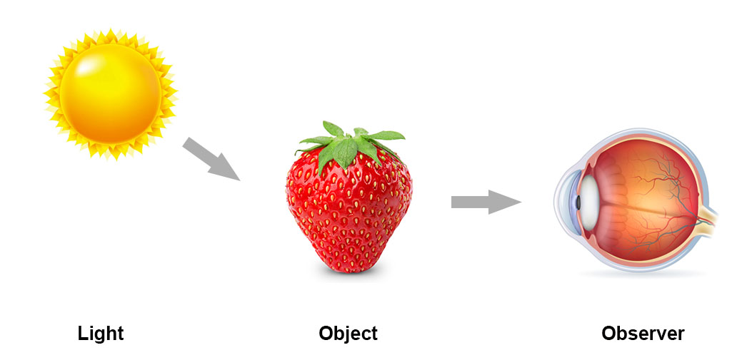 Three elements in color vision.jpg